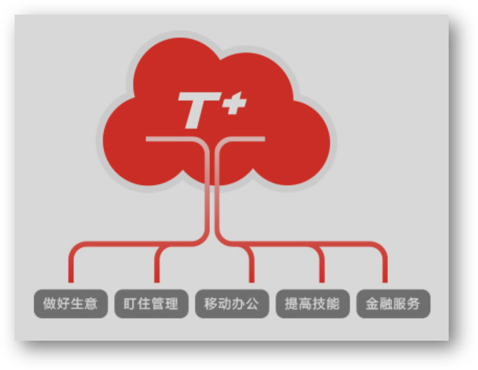 畅捷通T+Online